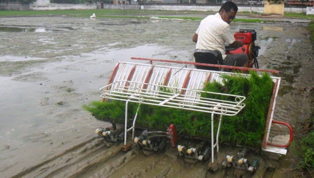 मेशिनबाट धान रोपाइँ
