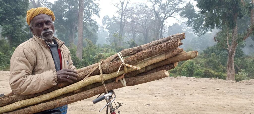 रौतहटमा इ रिक्सावालले यात्रु बाेक्न छाडेर काँचा दाउरा थाले बोक्न
