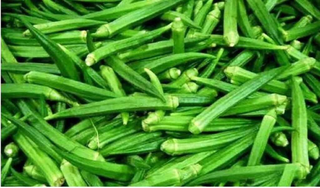झुक्किएर पनि भिन्डीसँग यी कुरा नखानुहोस्, नत्र हुन सक्छ समस्या