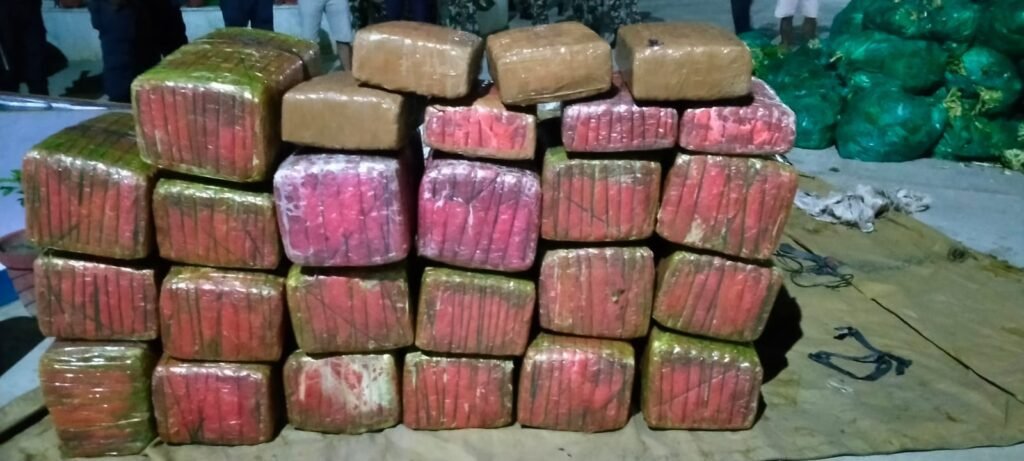 काउली बोकेको पिकअपमा ३३४ केजी गाँजा