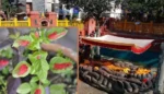 आज हरिशयनी एकादशी : चतुर्मासा व्रत सुरु, बिष्णु र लक्ष्मीको आराधनाले मिल्नेछ शान्ति